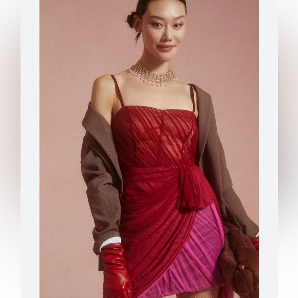 Anthropologie Structured Tulle Dress size 6 - Picture 5 of 10